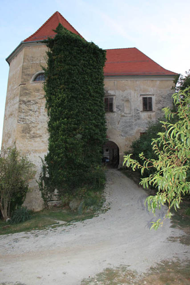 Grad Bizeljsko (68)