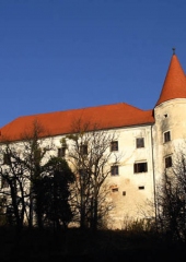 Grad Bizeljsko (1)