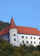 Grad Bizeljsko (3)