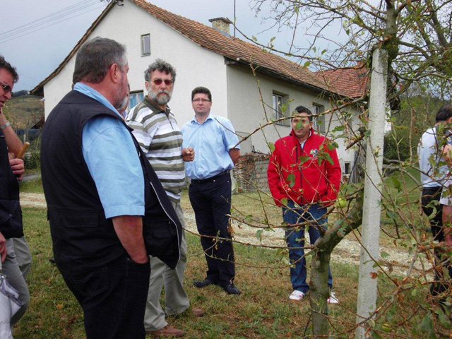 Katastrofalne posledice toče na Bizeljskem odmevajo