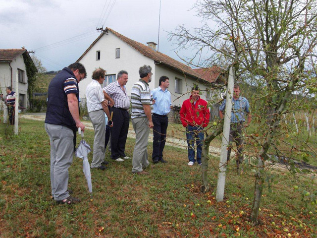 Katastrofalne posledice toče na Bizeljskem odmevajo