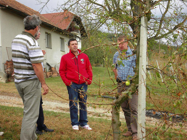 Katastrofalne posledice toče na Bizeljskem odmevajo