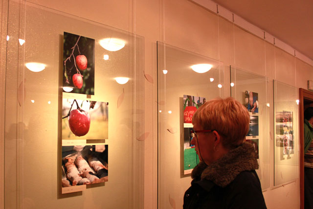 Podelitev Fotoextempore Kozjansko jabolko