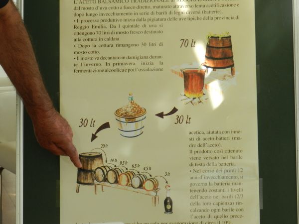 Dobra trgatev, odlična priznanja, vrhunski balzamični kis