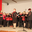 martinov-glasbeni-vecer-bizeljsko-2016-14