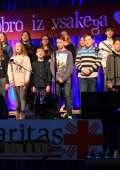 21.-koncert-Karitas-17