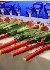 28. zimski festival OŠ Bizeljsko 2019 (2)