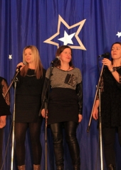 28. zimski festival OŠ Bizeljsko 2019 (95)