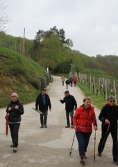 6.-pohod-od-podružnice-do-podružnice-4