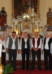 6. srečanje ljudskih pevcev (29)