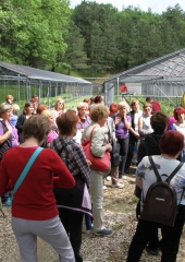 Ekskurzija društva kmetic Brežice (101)
