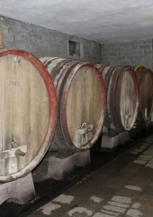 Ekskurzija društva kmetic Brežice (124)