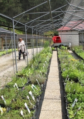 Ekskurzija društva kmetic Brežice (85)