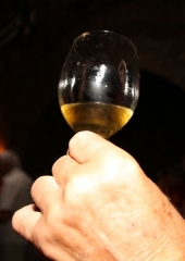 Ekskurzija društva vinogradnikov 2016 (102)