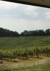 Ekskurzija društva vinogradnikov 2016 (114)