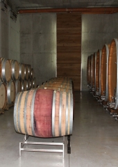 Ekskurzija društva vinogradnikov 2016 (130)
