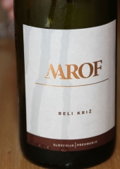 Ekskurzija društva vinogradnikov 2016 (152)