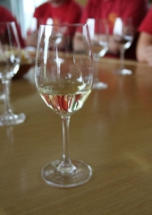 Ekskurzija društva vinogradnikov 2016 (154)
