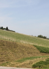 Ekskurzija društva vinogradnikov 2016 (26)