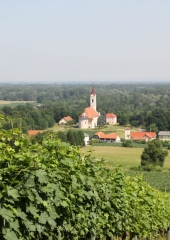 Ekskurzija društva vinogradnikov 2016 (27)