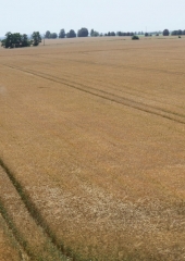 Ekskurzija društva vinogradnikov 2016 (37)