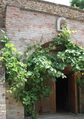 Ekskurzija društva vinogradnikov 2016 (63)
