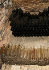Ekskurzija društva vinogradnikov 2016 (78)