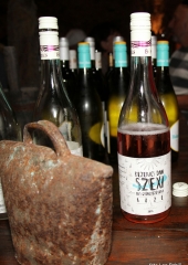 Ekskurzija društva vinogradnikov 2016 (95)