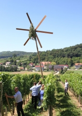 Lovrenčevo 2016 (10)