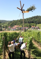 Lovrenčevo 2016 (11)