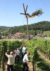 Lovrenčevo 2016 (12)