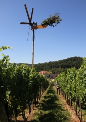 Lovrenčevo 2016 (13)