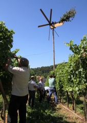 Lovrenčevo 2016 (14)