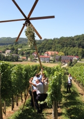 Lovrenčevo 2016 (9)