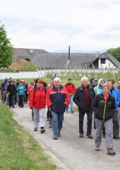 Pohod k repnicam 2016 (15)