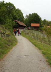 Pohod k repnicam 2016 (58)