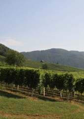 Pohod po Orešju 2016 (16)