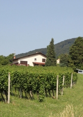 Pohod po Orešju 2016 (7)