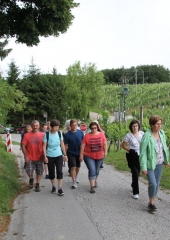 Pohod po Vidovi poti 2016 (13)