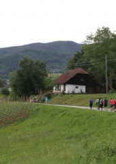 Pohod po Vidovi poti 2016 (17)