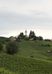 Pohod po Vidovi poti 2016 (32)