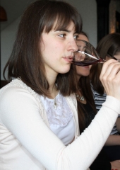 Praznik vina na Bizeljskem 2016 (18)