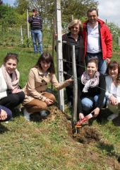 Praznik vina na Bizeljskem 2016 (31)