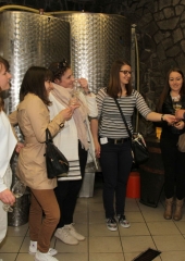 Praznik vina na Bizeljskem 2016 (40)