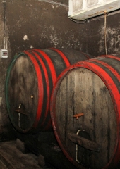 Praznik vina na Bizeljskem 2016 (54)