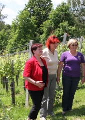 Srečanje pri kmetici leta 2015 Lei Babič (75)