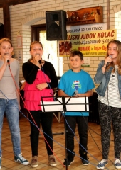 Srečanje pri kmetici leta 2015 Lei Babič (98)