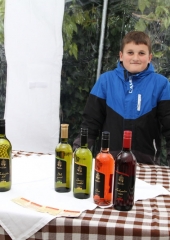 Bizeljski ajdov kolač 2016 (17)