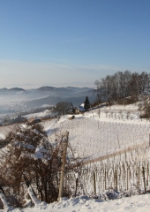 Antonovo Bukovje januar 2017 (3)