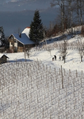 Antonovo Bukovje januar 2017 (4)